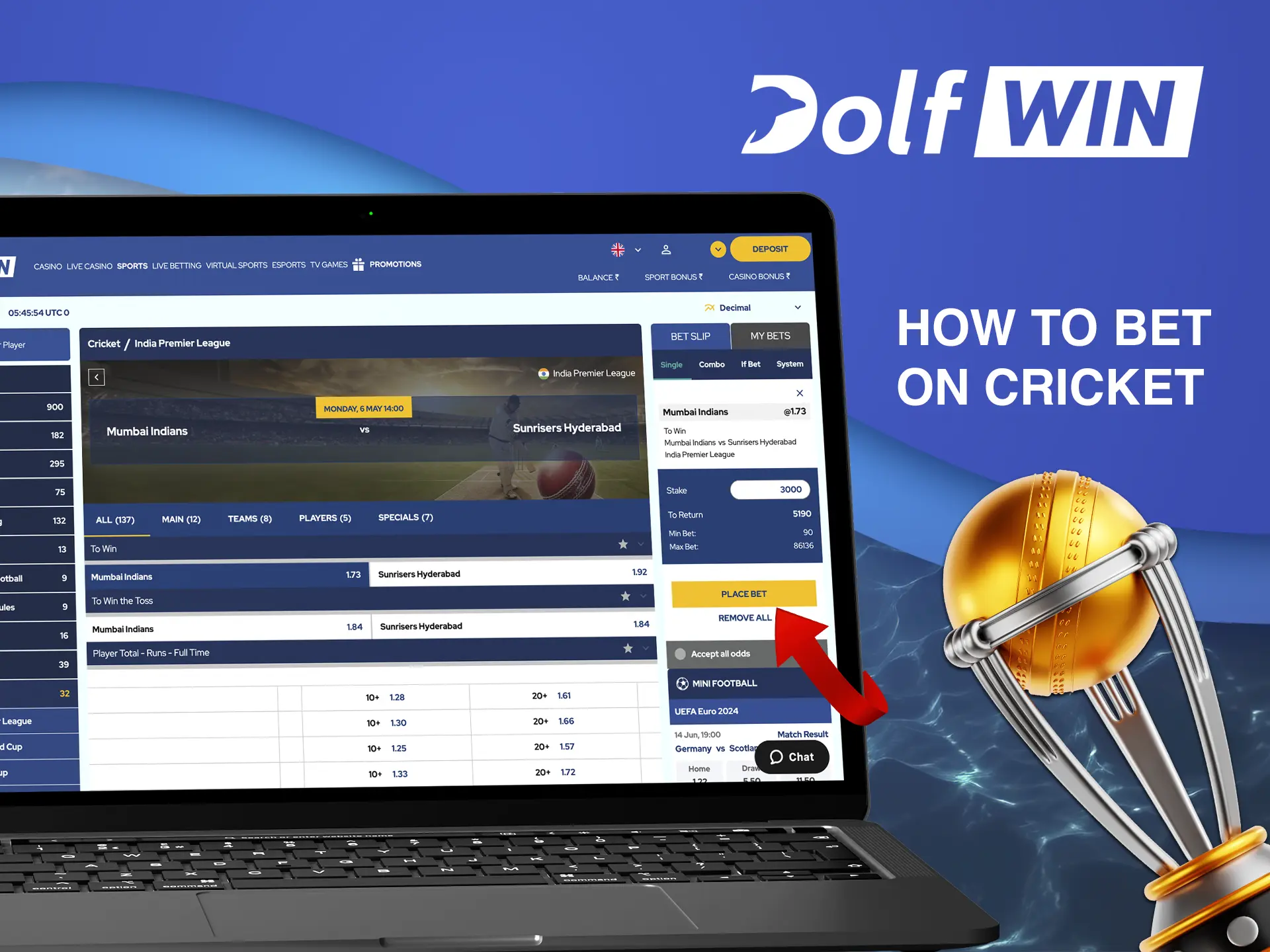 Use analysis and your experience when betting on cricket at Dolfwin to win regularly.