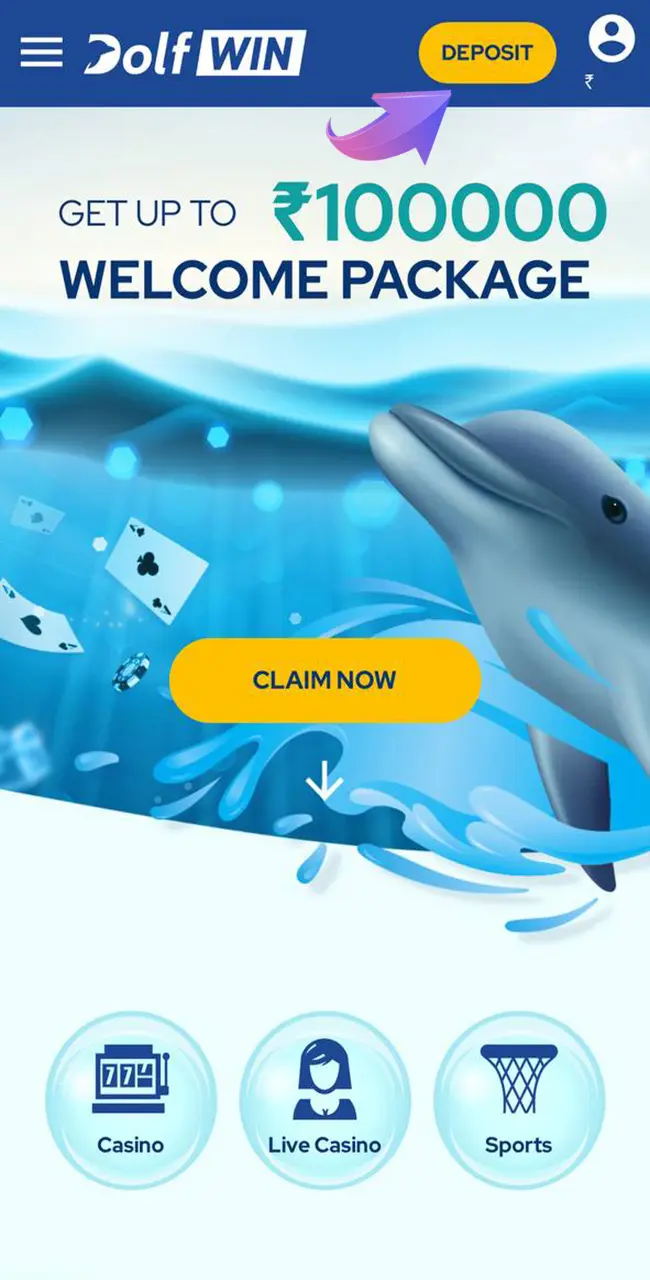 Open the yellow tab to fund your account at Dolfwin Casino.