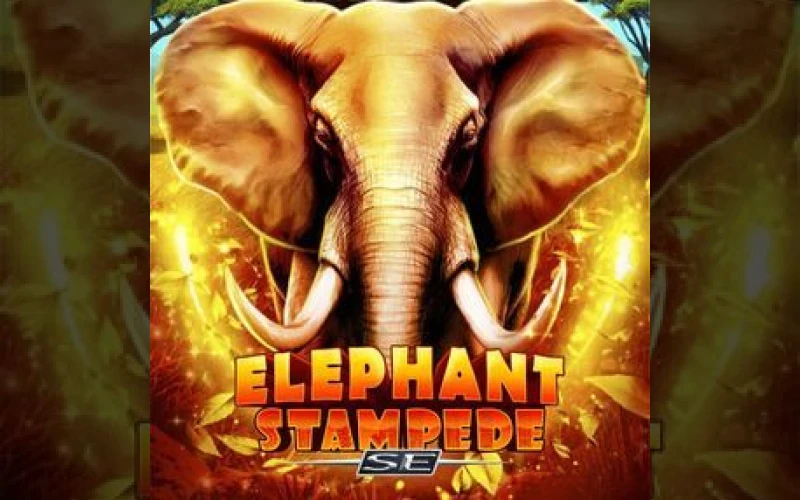 Charge into wins with Elephant Stampede SE at Dolfwin casino.