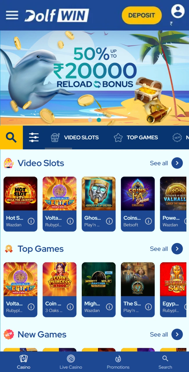 Choose a casino game you like at Dolfwin.