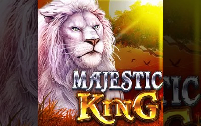 Dolfwin invites you to rule the rolls and claim your fortune in Majestic King.