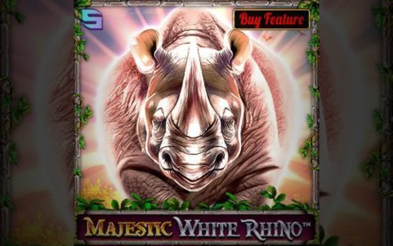 Start your safari and win big with Majestic White Rhino at Dolfwin.