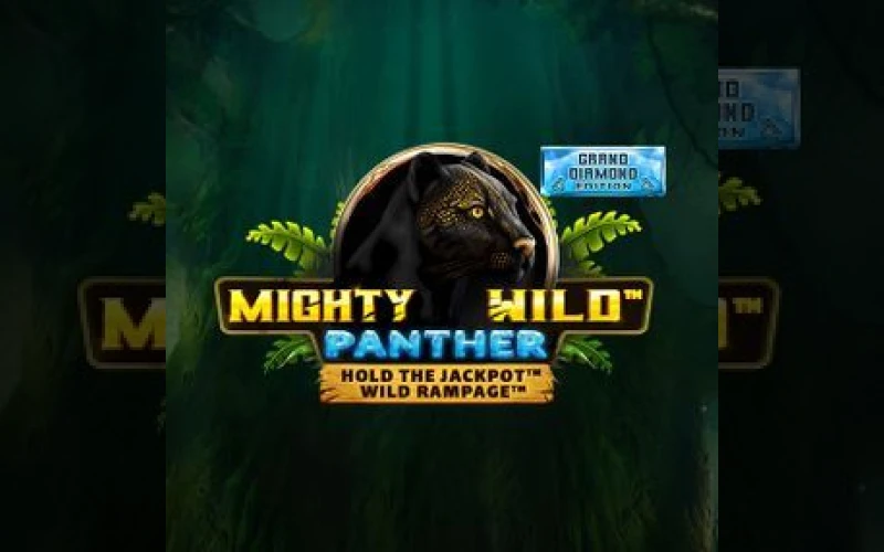 Hunt for diamonds and grab mega wins with Mighty Wild: Panther at Dolfwin.