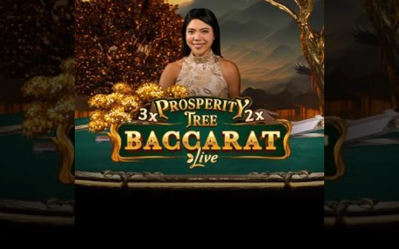 Dolfwin is where the Prosperity Tree Baccarat game brings huge bonus wins.